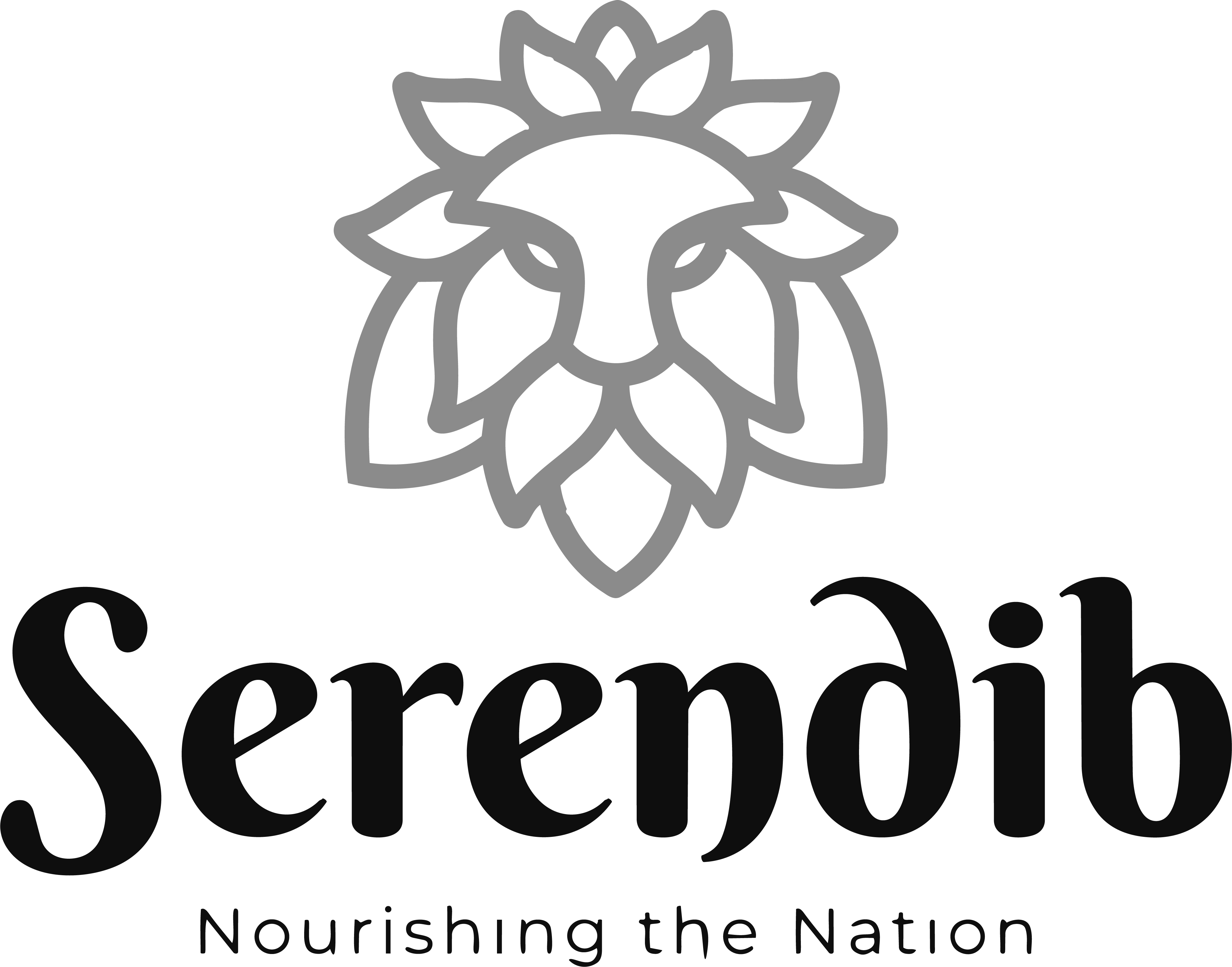 Serendib Flour Mills (Pvt) Ltd
